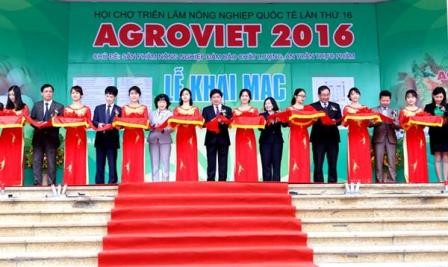 Tăng cường quảng bá nông sản an toàn Việt Nam ra thế giới - ảnh 1